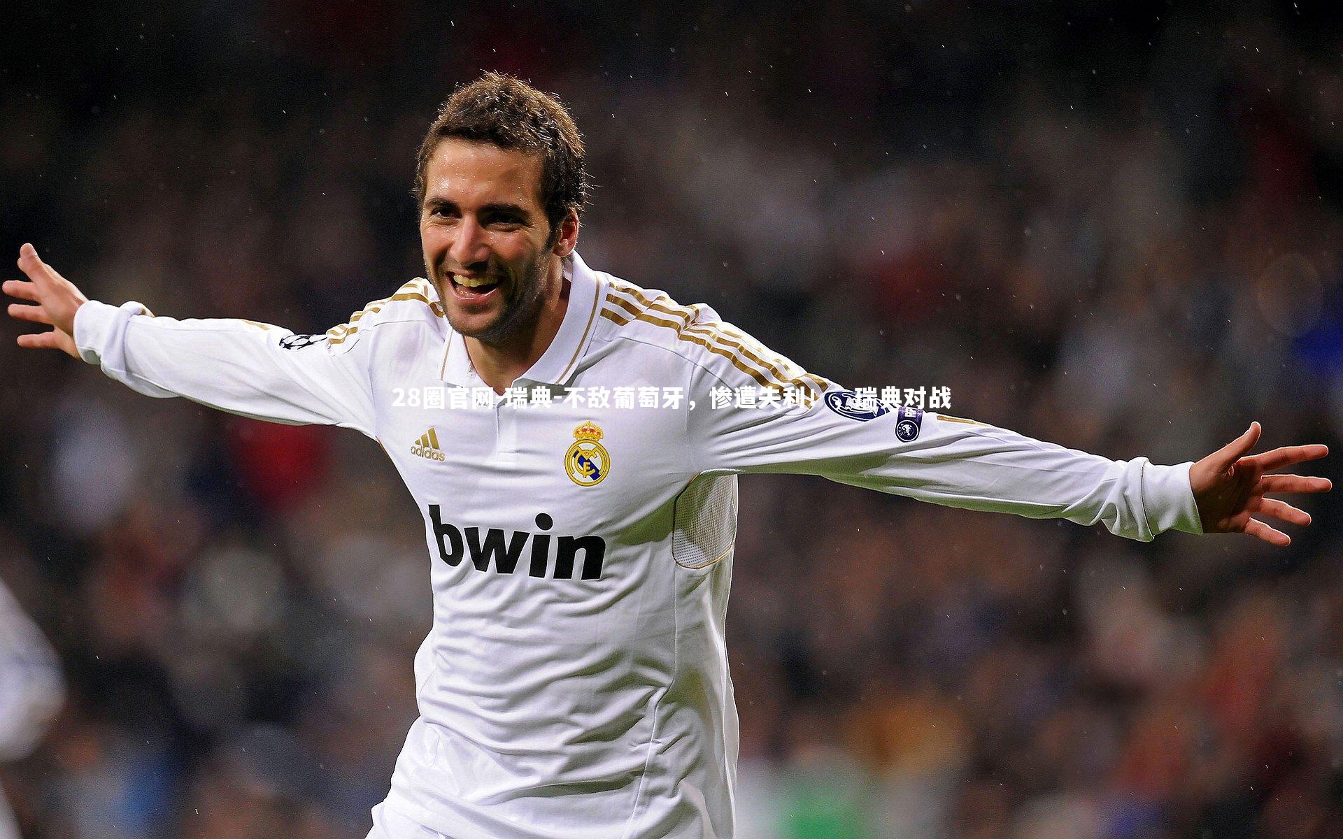 瑞典-不敌葡萄牙，惨遭失利！，瑞典对战