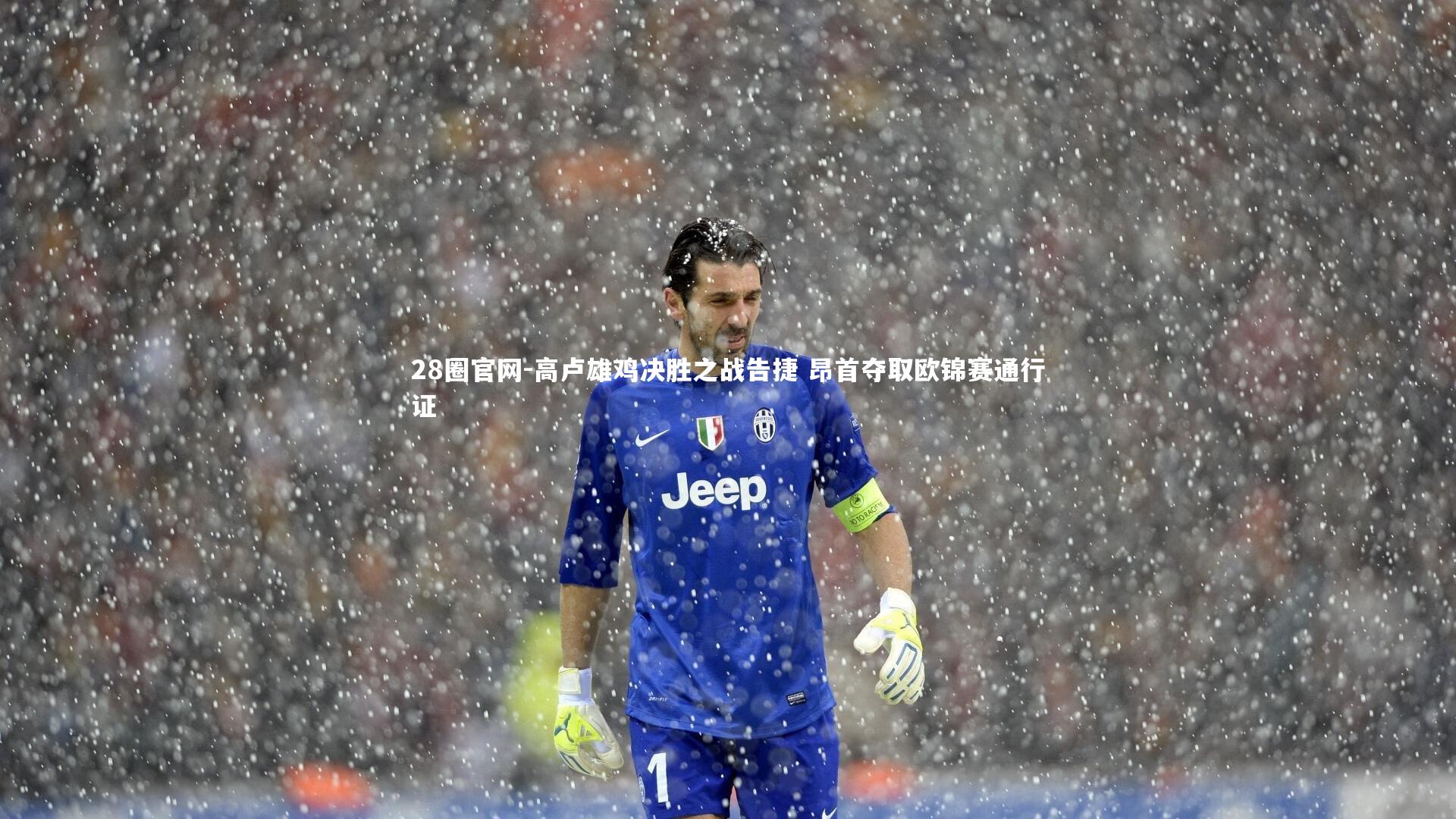 高卢雄鸡决胜之战告捷 昂首夺取欧锦赛通行证