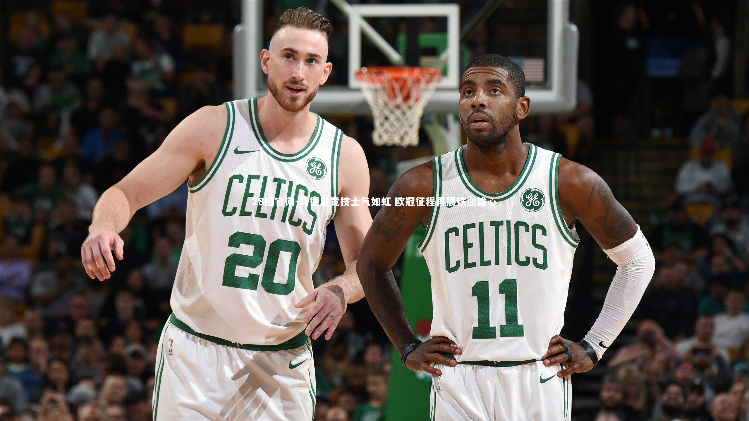 马德里竞技士气如虹 欧冠征程再展铁血雄心